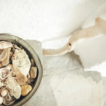 Aria's House & Neos Marmaras